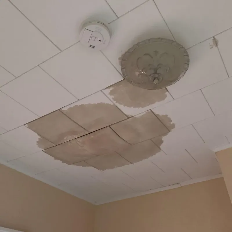 Ceiling Water Damage Repair in Jupiter, FL